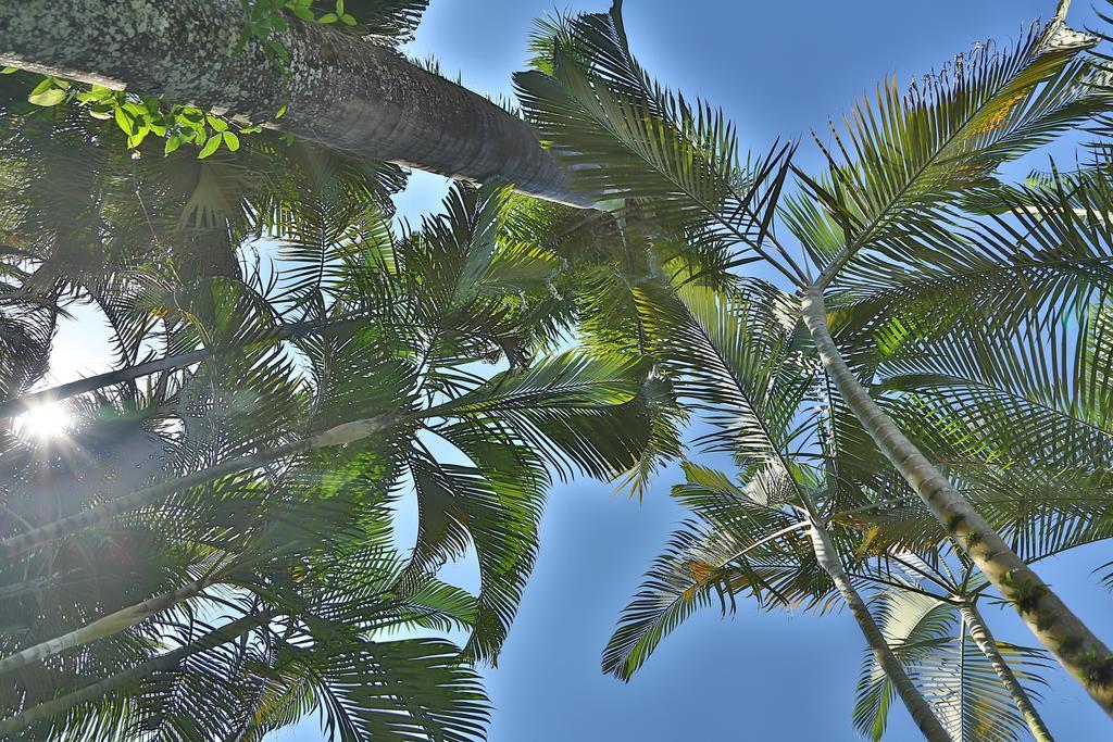 Casa Nostra Boutique Hotel Paraty Exterior photo
